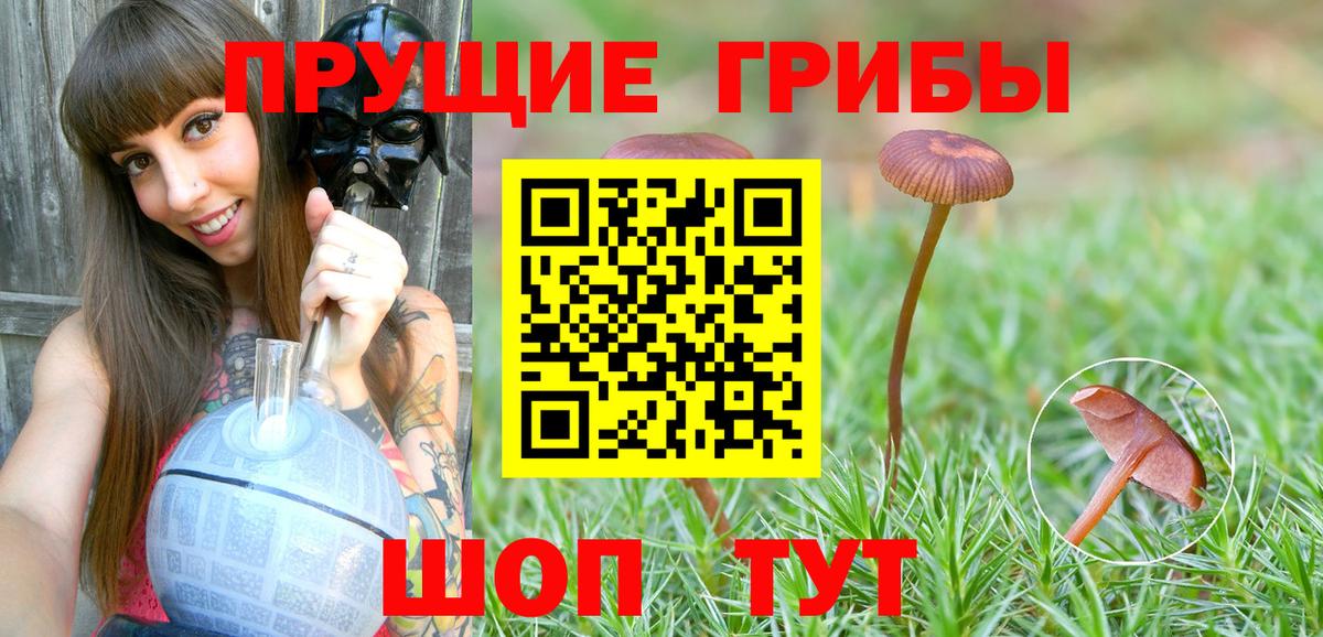 Псилоцибиновые грибы MAGIC MUSHROOMS Мариинск