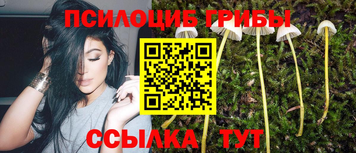 Псилоцибиновые грибы MAGIC MUSHROOMS  что такое   Мариинск  Вход с VPN 